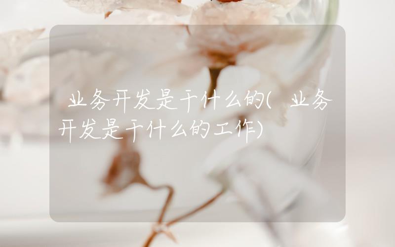 業(yè)務(wù)開發(fā)是干什么的(業(yè)務(wù)開發(fā)是干什么的工作)