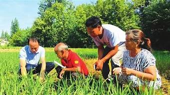 年輕人回農(nóng)村創(chuàng)業(yè)項(xiàng)目（13個(gè)農(nóng)村暴利小生意）