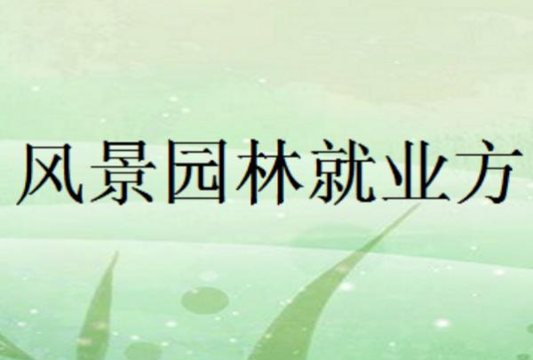 景觀設(shè)計行業(yè)發(fā)展前景（景觀設(shè)計行業(yè)發(fā)展前景如何）