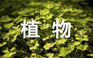 植物季相景觀設(shè)計案例