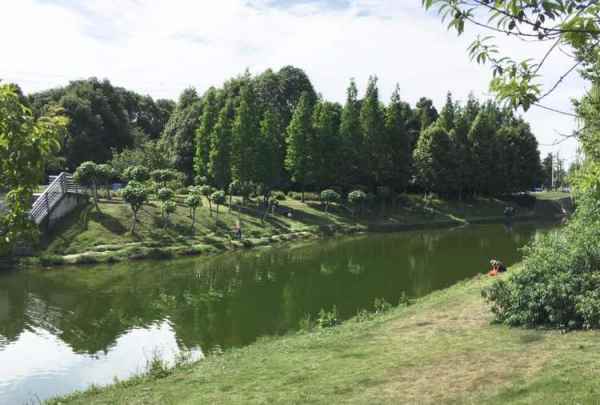 空港公園景觀設(shè)計（空港公園景觀設(shè)計理念）