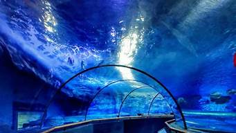 廈門(mén)水族景觀設(shè)計(jì)（廈門(mén)水族館）