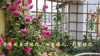 清遠(yuǎn)陽(yáng)臺(tái)花園景觀設(shè)計(jì)公司（清遠(yuǎn)陽(yáng)臺(tái)花園景觀設(shè)計(jì)公司電話）