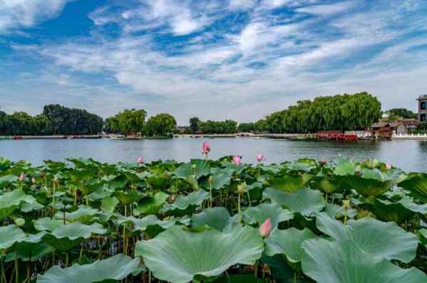 北京蓮花池公園景觀設(shè)計（北京蓮花池公園景觀設(shè)計理念）