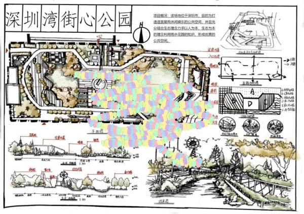 植物景觀規(guī)劃設(shè)計(jì)