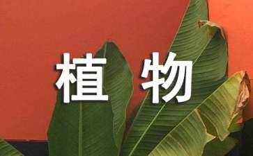 景觀設(shè)計(jì)植物分析（景觀設(shè)計(jì) 植物）