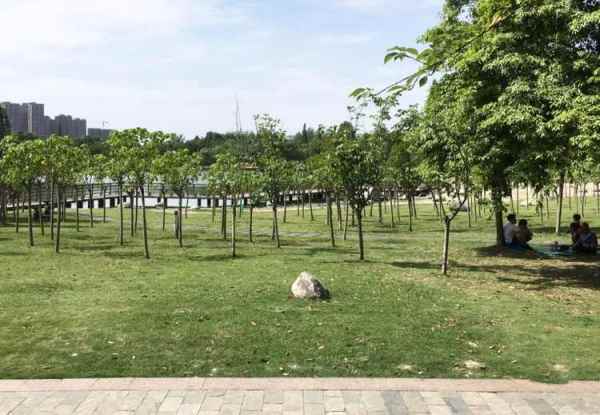 空港公園景觀設(shè)計（空港公園景觀設(shè)計理念）