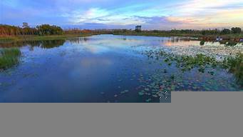 長春夏季景觀設計（長春夏季景觀設計公司）