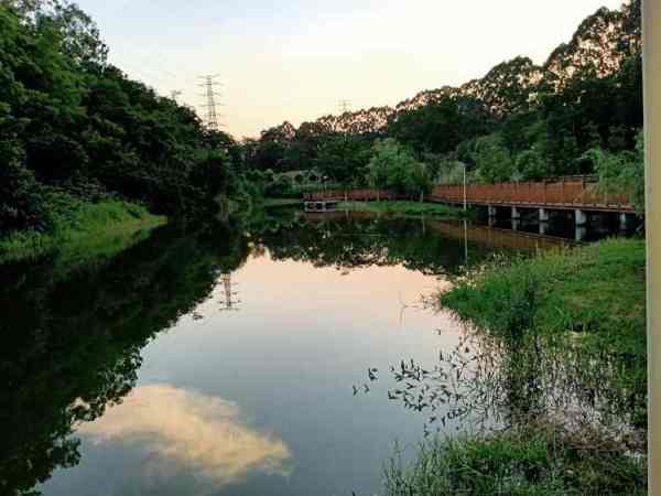 東莞創(chuàng)意產(chǎn)業(yè)園（東莞創(chuàng)意產(chǎn)業(yè)園有哪些）