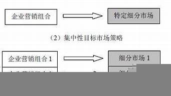 集中性營銷名詞解釋（集中性營銷策略名詞解釋）