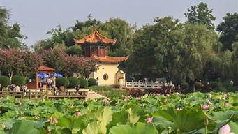 昆明公園的景觀設(shè)計(jì)（昆明公園的景觀設(shè)計(jì)特點(diǎn)）