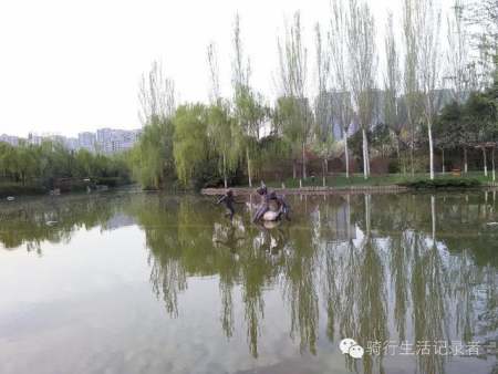 賀蘭山運(yùn)動(dòng)公園景觀設(shè)計(jì)（賀蘭山運(yùn)動(dòng)公園景觀設(shè)計(jì)理念）