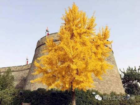 沿湖景觀設(shè)計(jì)（沿湖景觀設(shè)計(jì)方案）