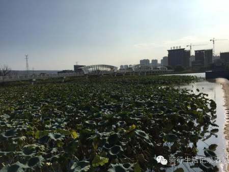 賀蘭山運(yùn)動(dòng)公園景觀設(shè)計(jì)（賀蘭山運(yùn)動(dòng)公園景觀設(shè)計(jì)理念）