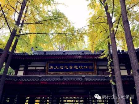 賀蘭山運(yùn)動(dòng)公園景觀設(shè)計(jì)（賀蘭山運(yùn)動(dòng)公園景觀設(shè)計(jì)理念）