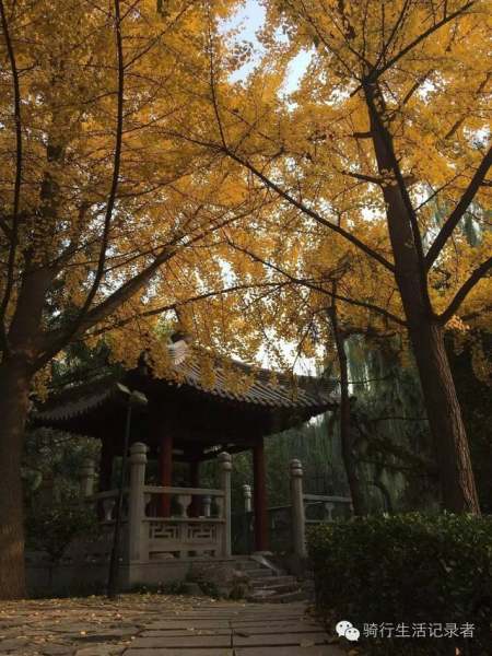 賀蘭山運(yùn)動(dòng)公園景觀設(shè)計(jì)（賀蘭山運(yùn)動(dòng)公園景觀設(shè)計(jì)理念）