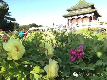 賀蘭山運(yùn)動(dòng)公園景觀設(shè)計(jì)（賀蘭山運(yùn)動(dòng)公園景觀設(shè)計(jì)理念）