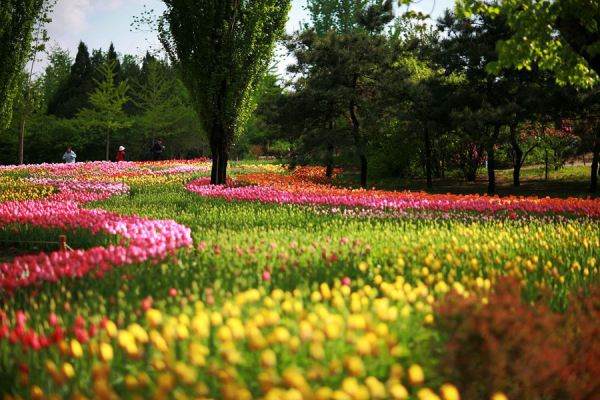 長春動植物公園景觀設計（長春動植物公園景觀設計公司）