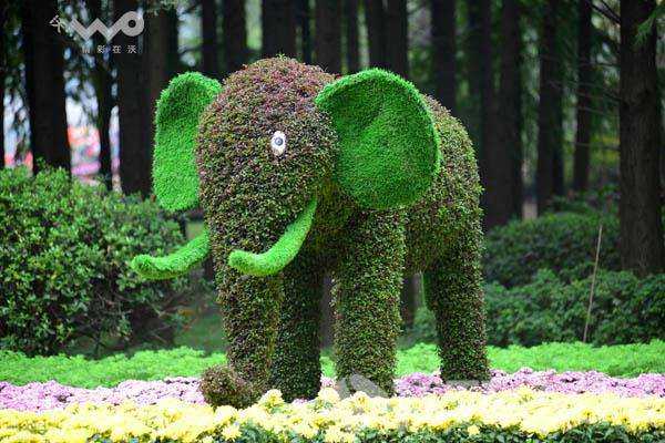 長春動植物公園景觀設計（長春動植物公園景觀設計公司）