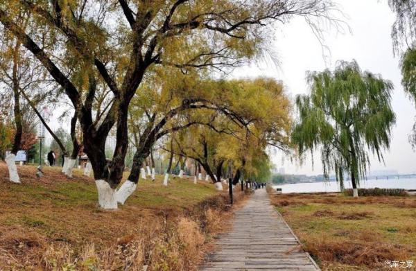 長安公園景觀設(shè)計（長安公園景觀設(shè)計圖）