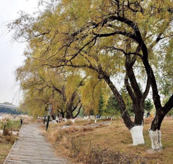 長安公園景觀設(shè)計（長安公園景觀設(shè)計圖）