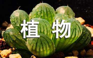 景觀(guān)設(shè)計(jì)植物配置表（景觀(guān)設(shè)計(jì)植物配置表圖例）