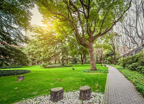 公園景觀設(shè)計(jì)案例分析（公園景觀設(shè)計(jì)案例分析怎么寫）_1