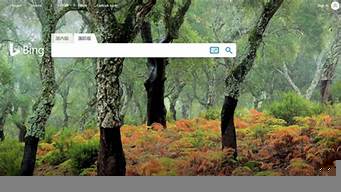 必應(yīng)官網(wǎng)國(guó)際版（必應(yīng)國(guó)際版app）