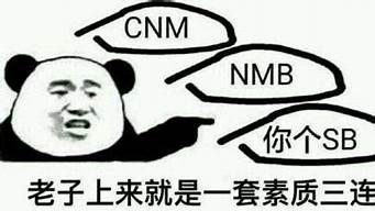 罵人cnm翻譯（com中文翻譯什么意思）