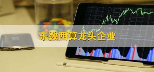 最頂尖的20只核心科技龍頭（中國(guó)最尖端高科技企業(yè)）