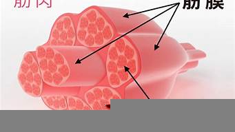 筋膜啟動(dòng)會(huì)全身抖動(dòng)原因（筋膜啟動(dòng)會(huì)全身抖動(dòng)有沒(méi)副作用）