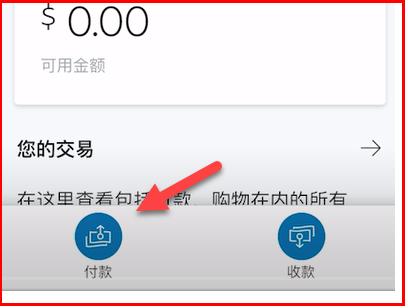 ns怎么用paypal付款（switch怎么用paypal付款）