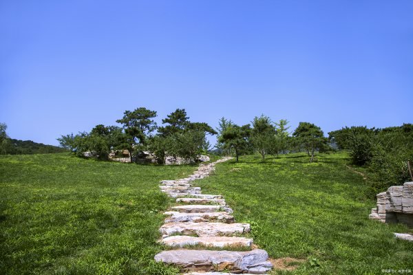 什么叫坡地園林景觀設(shè)計（坡地園林景觀平面圖）