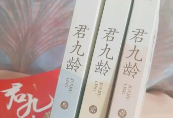 2013網(wǎng)絡(luò)小說排行榜（2013網(wǎng)絡(luò)小說排行榜）