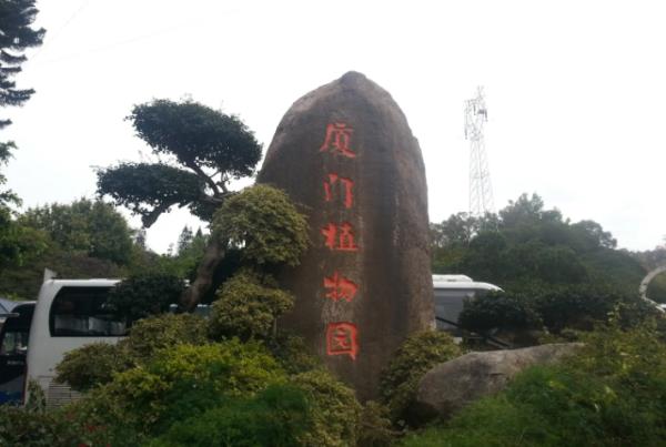 福建優(yōu)質(zhì)植物綠墻景觀設計（福建優(yōu)質(zhì)植物綠墻景觀設計圖）