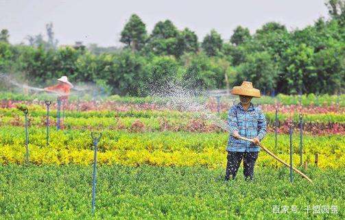 汕尾工地綠化景觀設(shè)計(jì)施工（汕尾工地綠化景觀設(shè)計(jì)施工招標(biāo)）