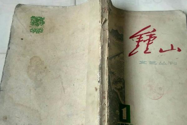 中國文學(xué)最佳排行榜（中國當(dāng)代小說排行榜100名）