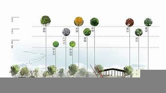 植物景觀設(shè)計(jì)分析圖