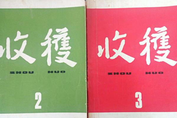 中國文學(xué)最佳排行榜（中國當(dāng)代小說排行榜100名）