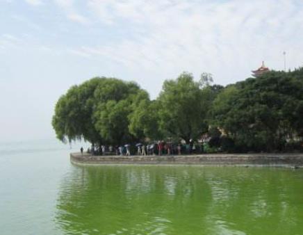 太湖藍藻打撈點景觀設(shè)計（太湖藍藻打撈點景觀設(shè)計圖片）