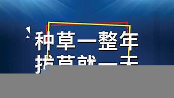 關(guān)于小紅書的廣告宣傳（關(guān)于小紅書的廣告宣傳語）