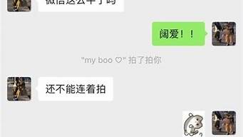 微信好友拍了拍我是什么意思