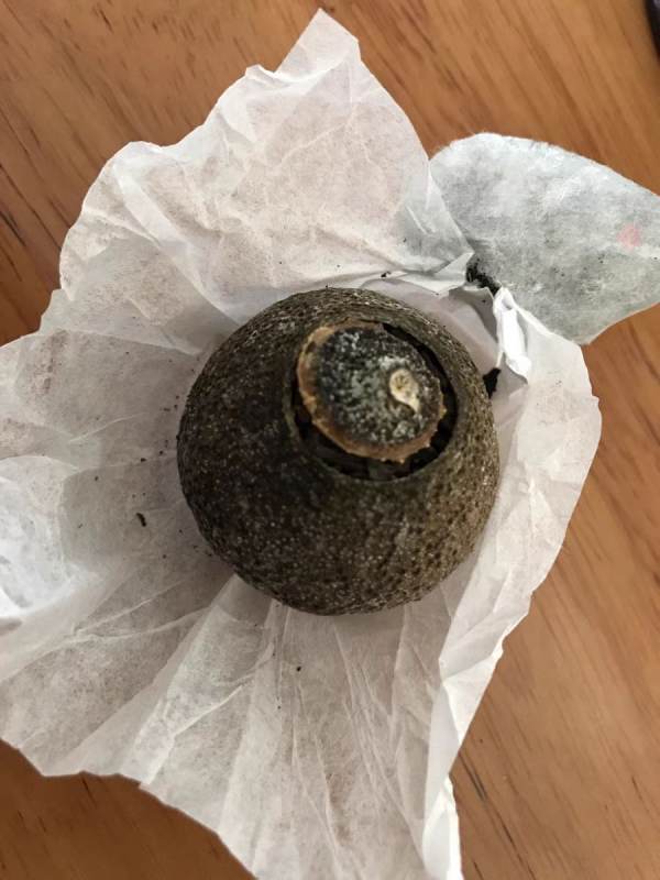 喜茶排行榜（喜茶排行榜前10名）