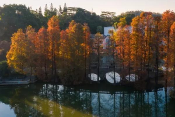 廣州文化主題公園景觀設(shè)計（廣州文化主題公園景觀設(shè)計方案）