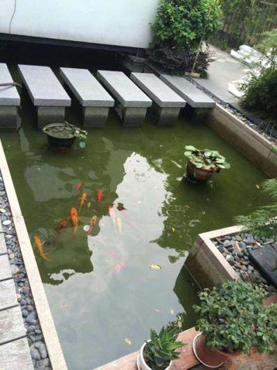 庭院魚(yú)池菜地景觀設(shè)計(jì)圖