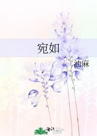 最好看的電子書(shū)排行榜（最好看的電子書(shū)排行榜前十名倫理）