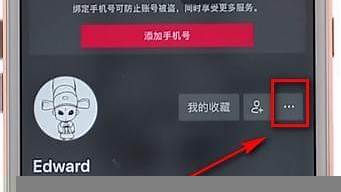 蘋果手機1元10抖幣充值入口（蘋果手機1元10抖幣充值入口是什么）