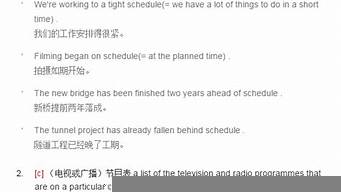 schedule用法及例句（schedule的用法及短語）