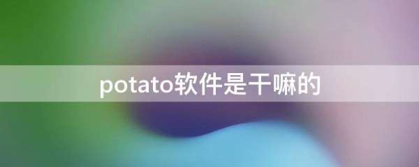 potato（potato的復(fù)數(shù)）