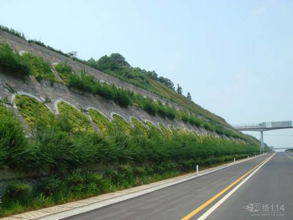 高架橋綠化景觀設(shè)計方案（高架橋綠化景觀設(shè)計方案范文）